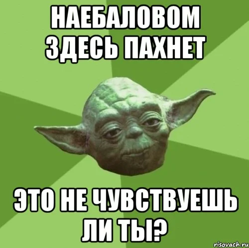 9436CCBC-2CD0-4B21-A0C5-B7B4539DD23D.webp
