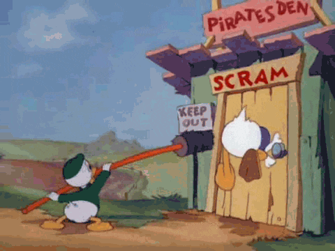 96162_original.gif