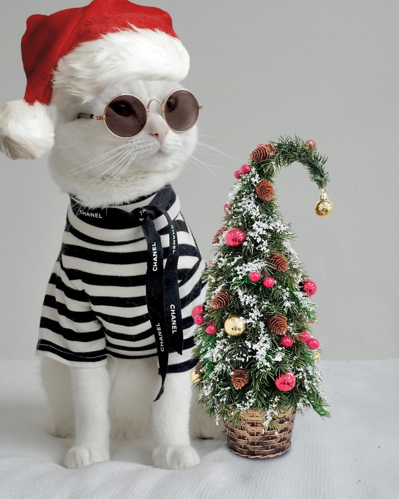 9621C981-AB9C-491E-A4FE-5361BDDBD08C.webp