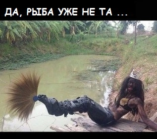 9677.webp
