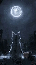 !!!!99px_ru_photo_158793_kotenok_smotrit_na_lunu.gif