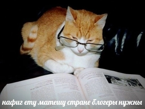 9Ntb_8pKC8A.webp