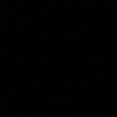 _2.gif