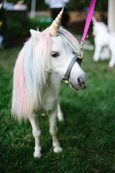 a-unicorn-petting-station-made-this-the-most-whimsical-wedding-of-all-4.jpg