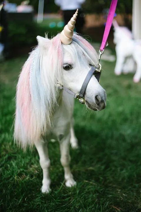 a-unicorn-petting-station-made-this-the-most-whimsical-wedding-of-all-4.webp