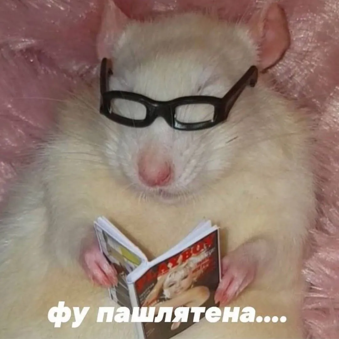 a44516df6b4228e178ebf63b0c979642.webp