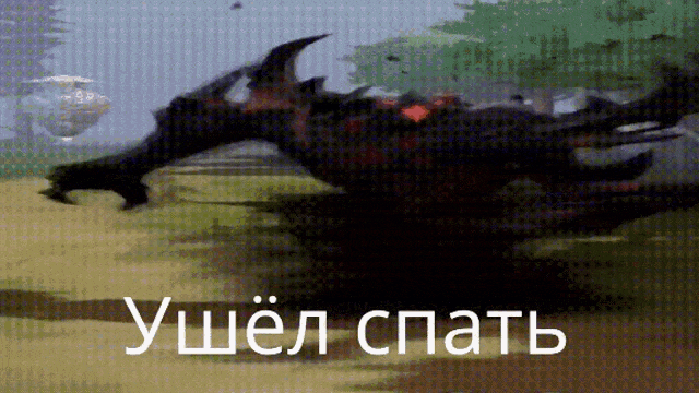 A8FE8F13-8A99-4117-BAA2-83D67728A2DE.gif