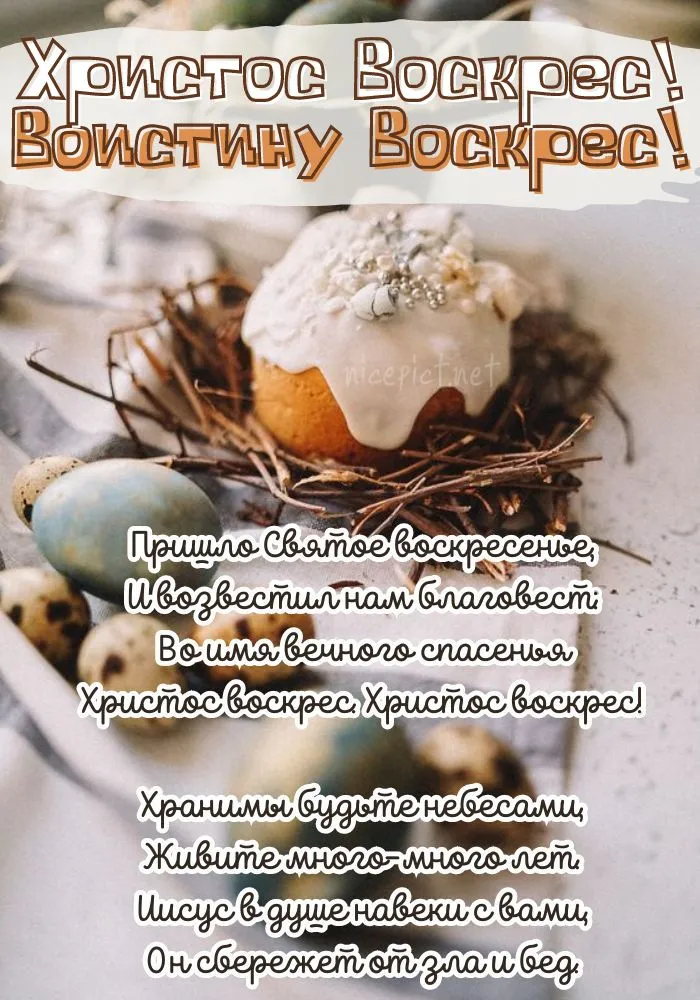 a92b65cb1717d668956c71155e0e99dd-1.webp