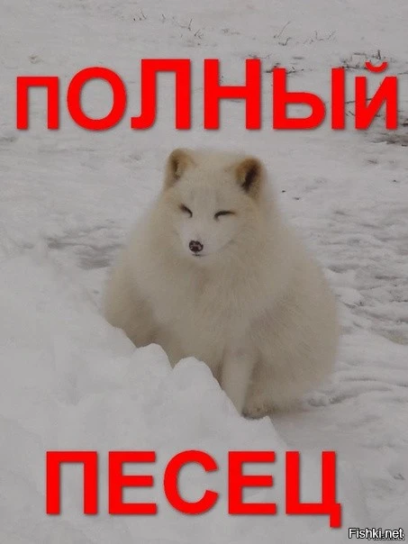 AC9EAAC4-03D0-4CF9-A6F3-A01918EBDF7A.webp