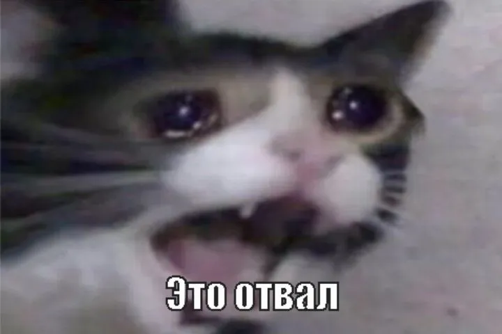 ADDxicAKYKM.webp