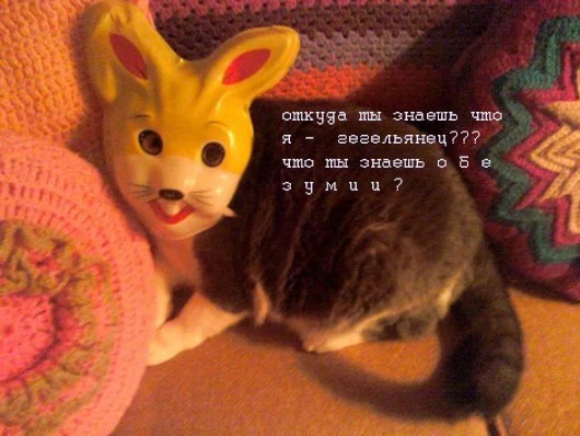 AJbmkuyF2_g.webp