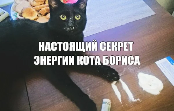 ака.webp