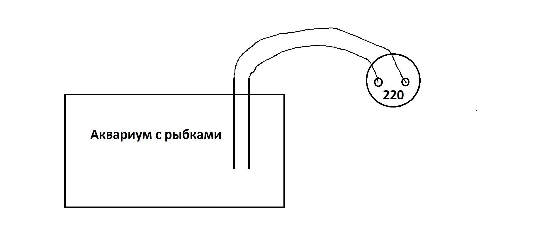 Аквариум.webp