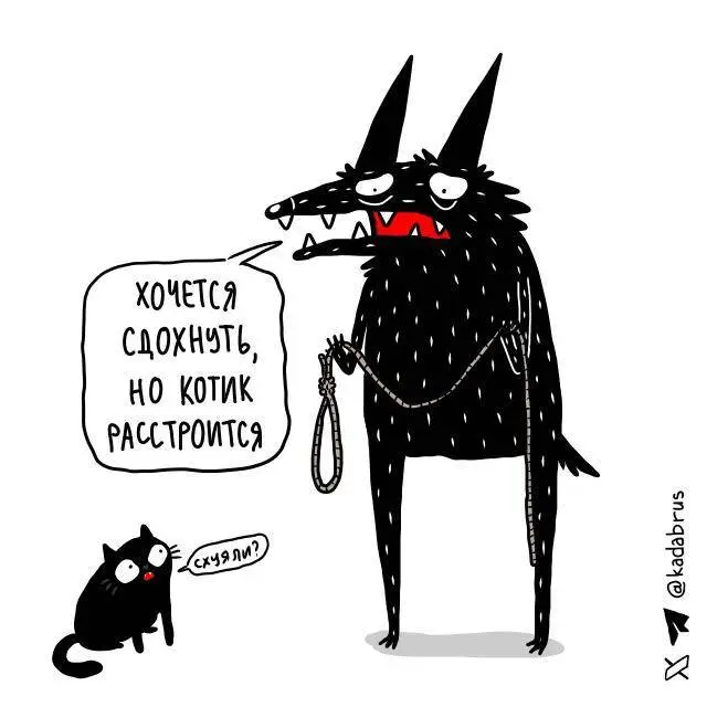 anon-котэ-8486208.webp
