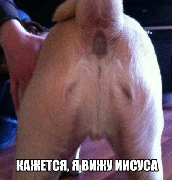 антирелигия-песочница-демотиваторы-про-религию-юмор-1383868.webp