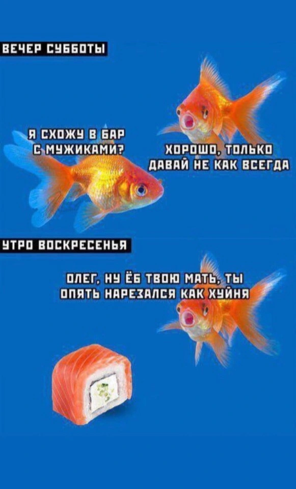 Aou4ZFEQn4Y.webp