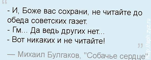 aph_zyz_ru.webp