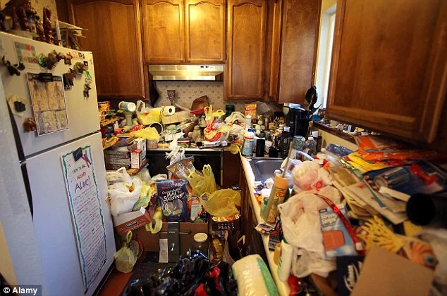 article-2425806-1BEB9357000005DC-806_634x421.webp