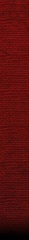 Artwork_Right_Top.webp