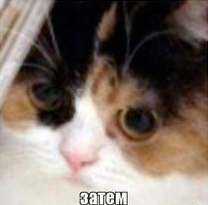 ацывс.webp