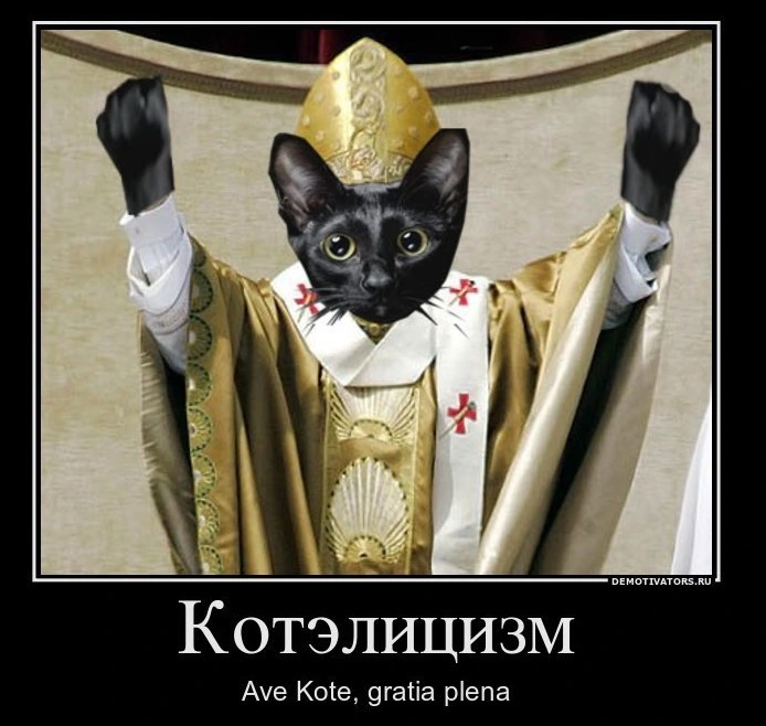 ave-kote.webp