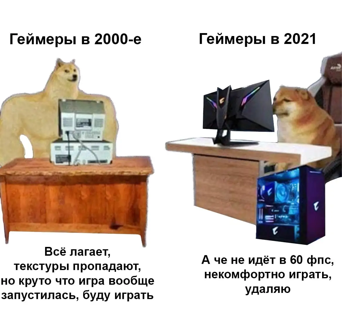 b6vPlhnuSKk.webp