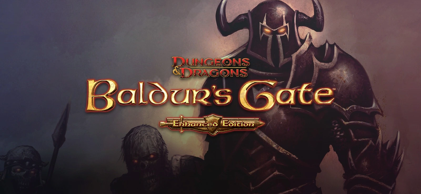 Baldur's Gate Enhanced Edition [GOG].webp