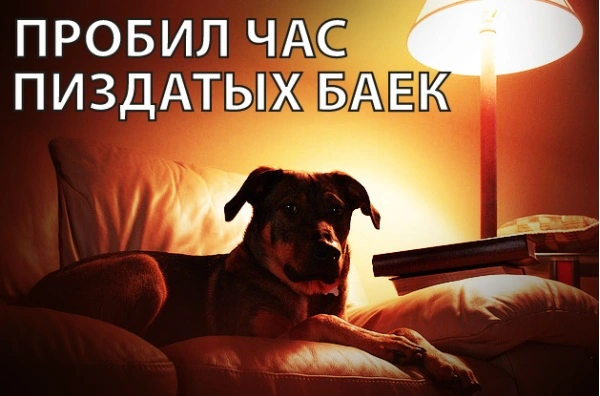 bay.webp