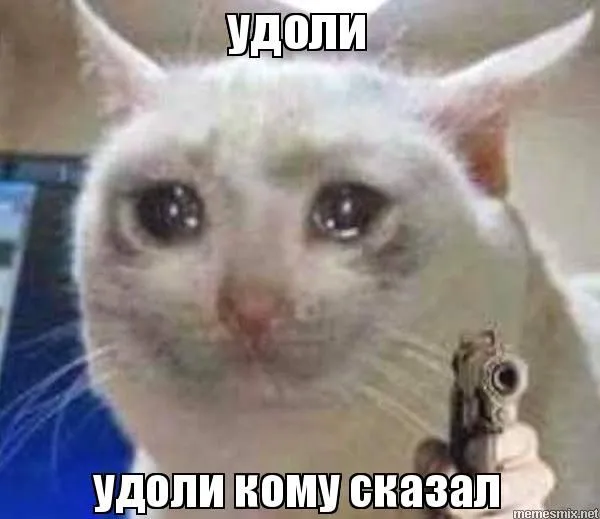 bb1f304b45a12bb11fe58e38b066a3d8.webp