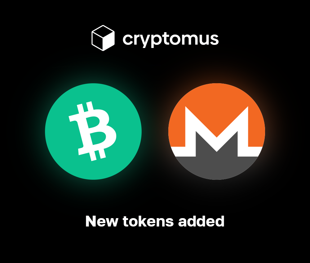 bch xmr.webp