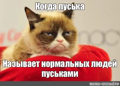 bd8df4bb238b782f67e1476ec165ba8f.webp