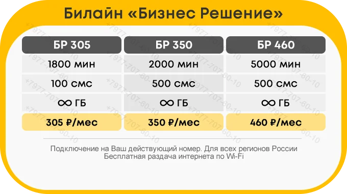 beeline_biznes_reshenie.webp