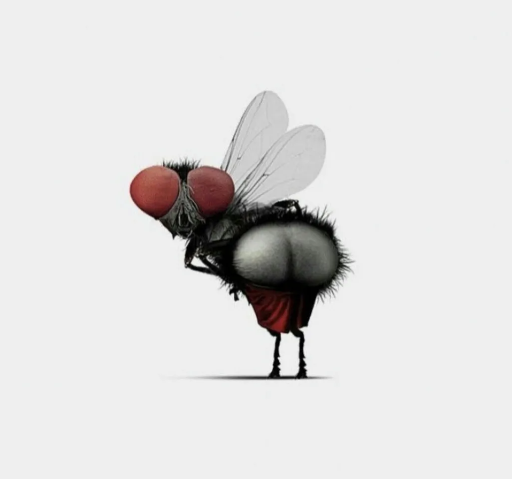 bef72df4-8851-46ac-855e-2caded7be1c1 (1)_1.webp