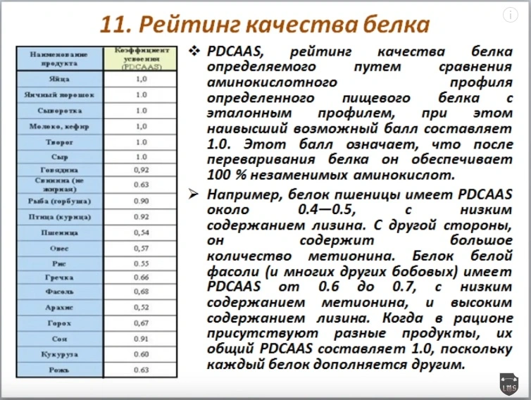 белок.webp