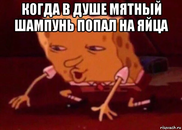 bettingmemes_163684190_orig_.jpg
