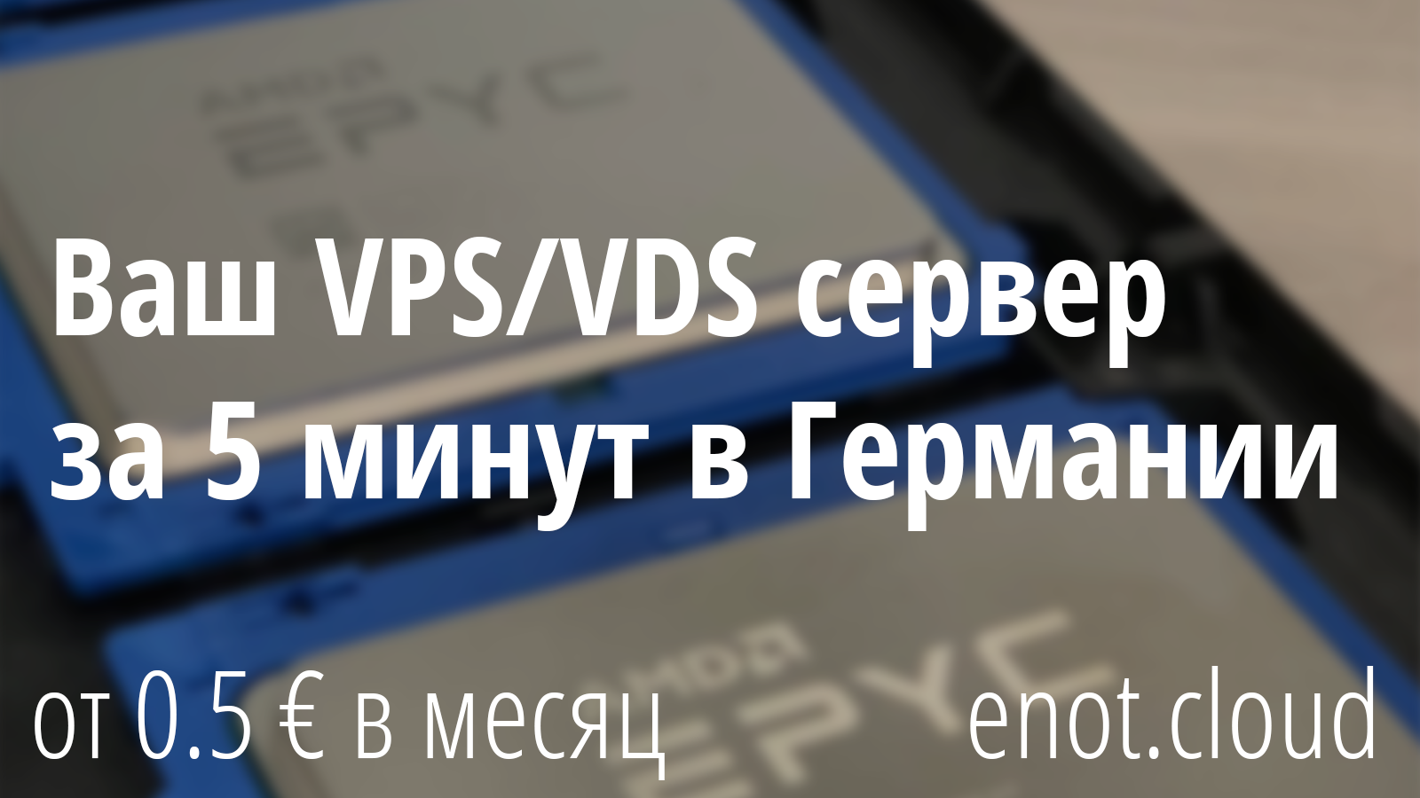 Без имени-1 (2).webp