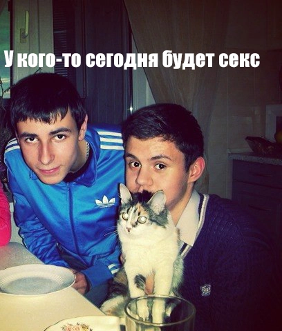 Без имени-1.webp