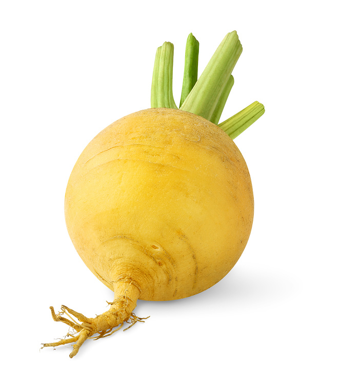 Без названия (1).webp