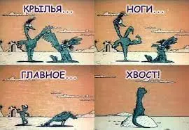 Без названия (1).webp