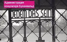 Без названия (16).webp