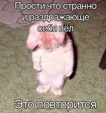 Без названия (3).webp