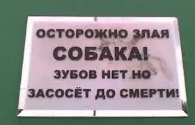 Без названия (38).webp