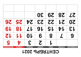 Без названия (4).webp