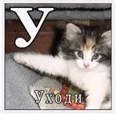 Без названия (4).jpeg