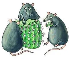 Без названия (54).webp