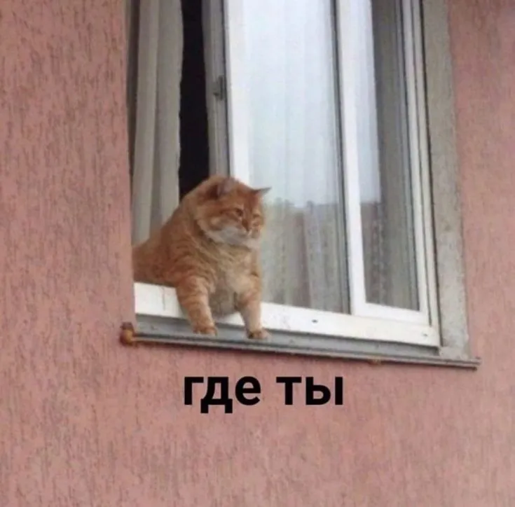 Без названия (8).webp