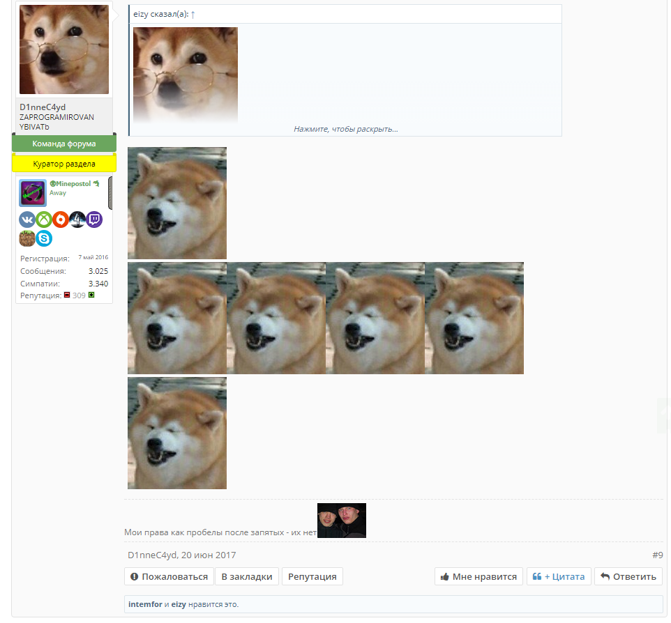 Без названия (9).webp