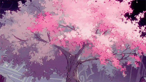 Без названия.gif