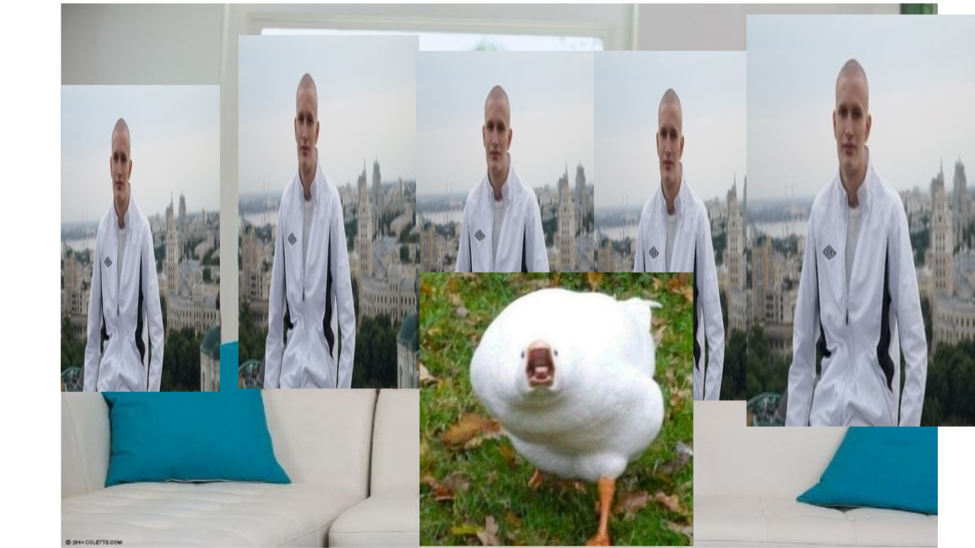 Без названия.webp