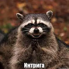 Без названия.webp